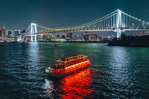 Traditional Yakatabune Hot Pot Cruise with Shamisen Show & Tokyo Tower Entry
