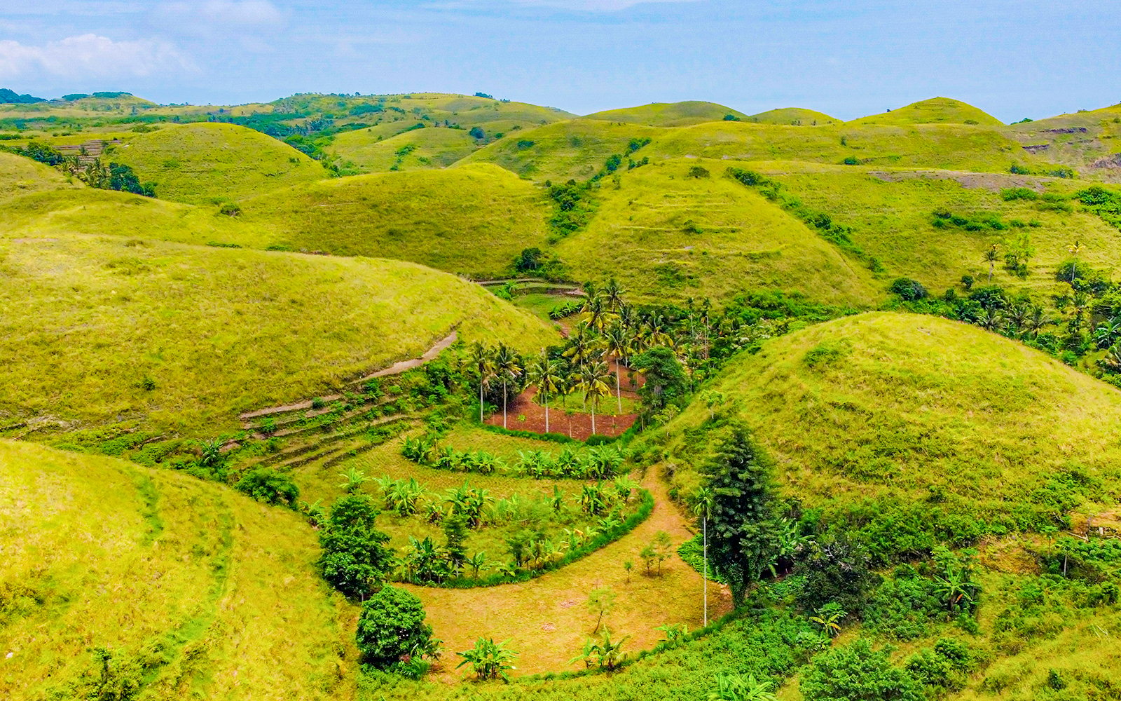 Teletubbies Hill or Cactus Beach