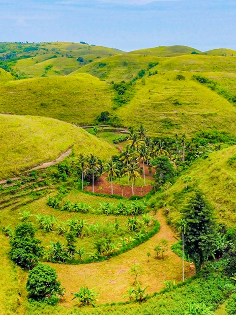 Tourists exploring Teletubbies Hill's lush green landscape, Nusa Penida, on a sunny day trip.