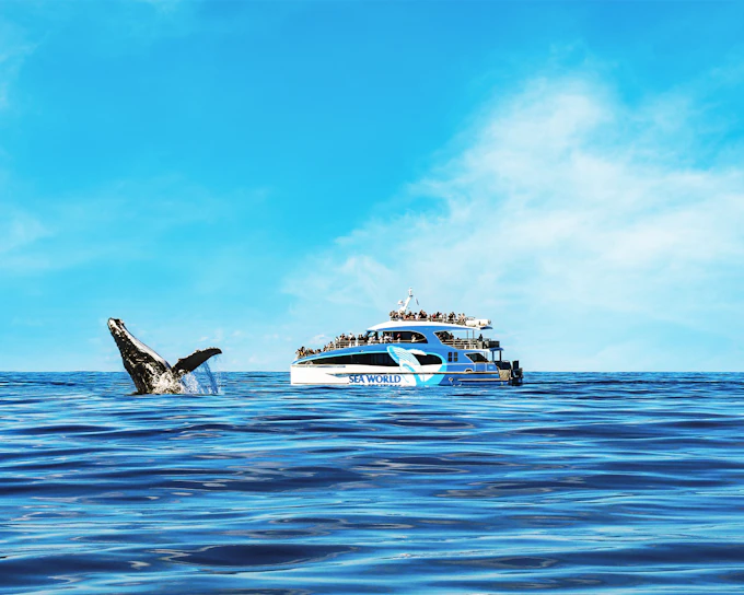 Seaworld 1-Day Pass with Gold Coast Whale Cruise by Seaworld