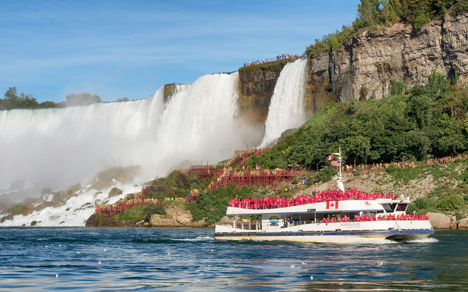 Bateaux respectueux de l'environnement