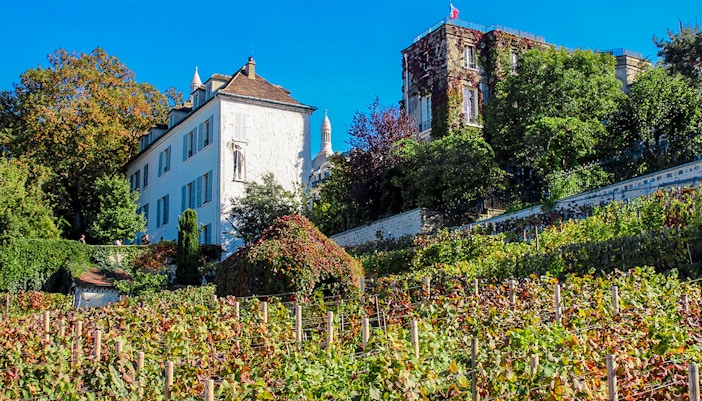 Montmartre village surrounded by vineyards