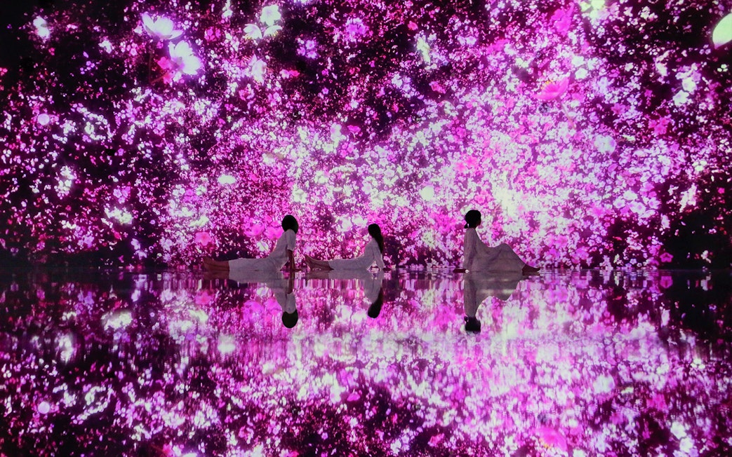 Visitors at teamLab Planets Tokyo surrounded by immersive pink floral digital art.