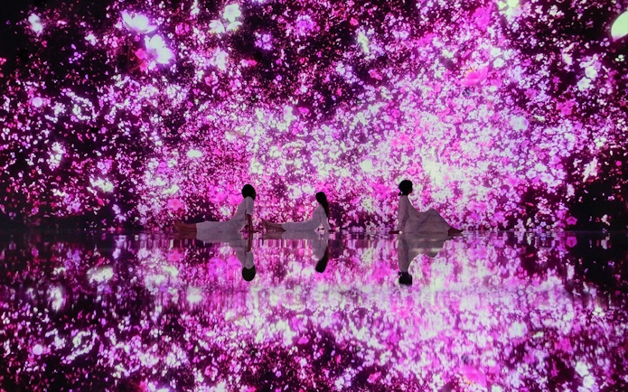 Visitors at teamLab Planets Tokyo surrounded by immersive pink floral digital art.