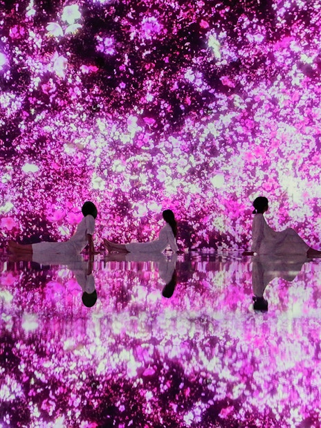 Visitors at teamLab Planets Tokyo surrounded by immersive pink floral digital art.