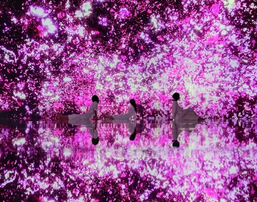 Visitors floating in the falling universe of flowers at TeamLab exhibit in Tokyo