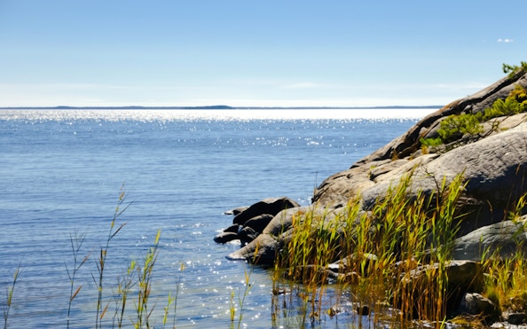 Rocky shoreline with reeds in the Stockholm Archipelago, Sweden.