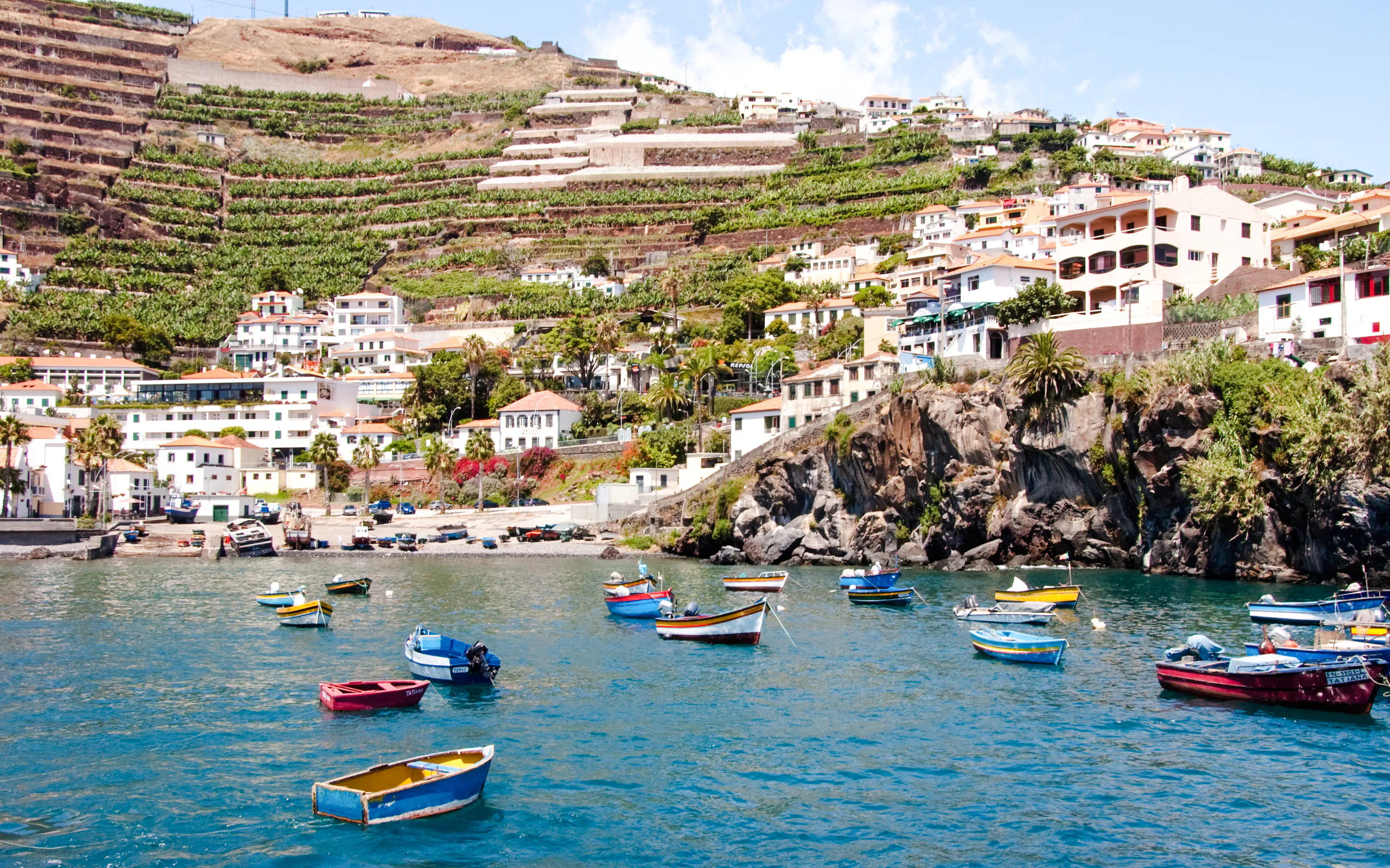 Câmara de Lobos Güney
