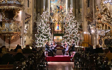 String quartet performing at St. Peter's Church, Vienna, with Christmas trees and festive decor.