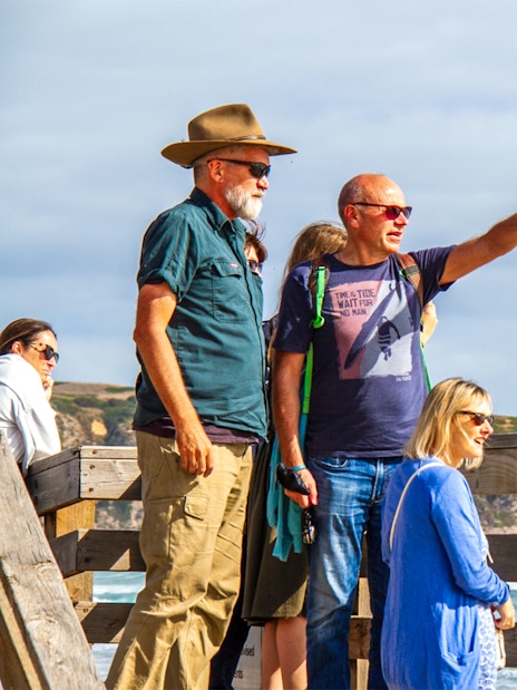 Tourists with guide overlooking ocean and cliffs at Cape Woolamai.