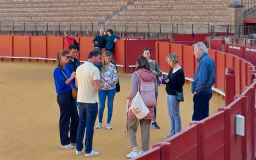 Group of tourists in a bullring during a guided tour, discussing the venue's history.