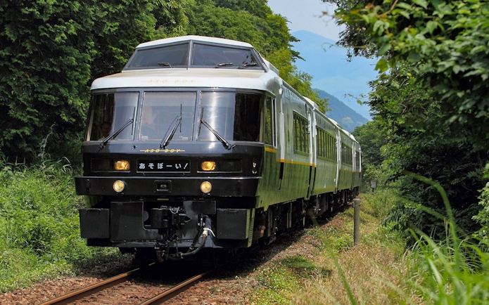 Kyushu Area JR train traveling through lush green forest.
