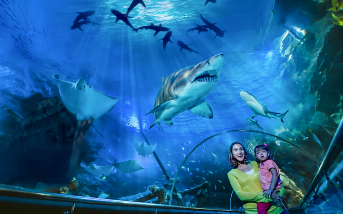 Mother and daughter observing sharks in Aquaria KLCC tunnel.