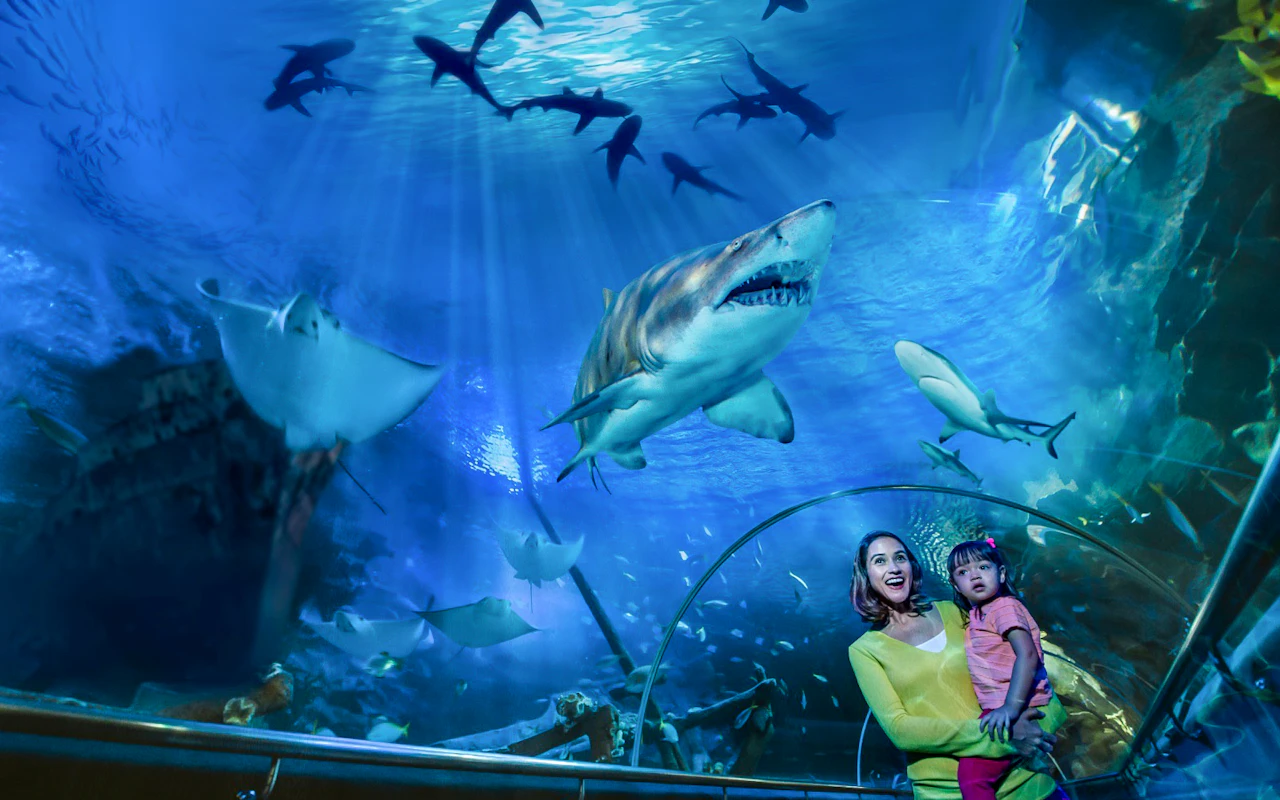 Combo: Cena a buffet presso il ristorante ARAS nella KL Tower + Biglietti per l'Aquaria KLCC — 9