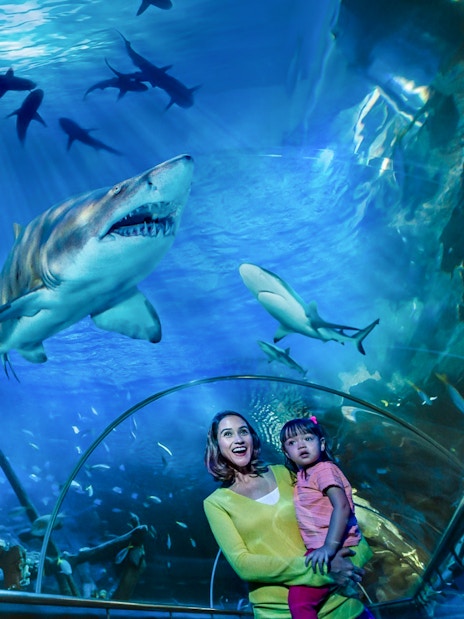 Mother and daughter observing sharks in Aquaria KLCC tunnel.