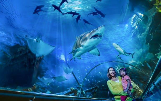 Mother and daughter observing sharks in Aquaria KLCC tunnel.