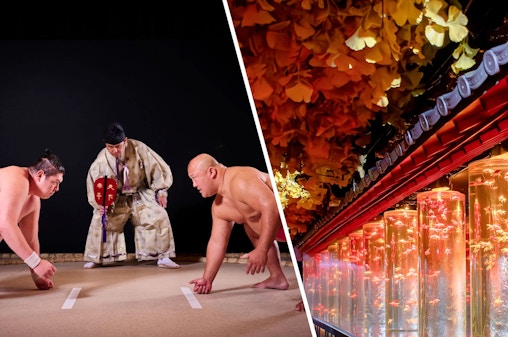 Combo (5 % Rabatt) (5% sparen) : Standard Sitzplatz + Tickets für das Art Aquarium Museum GINZA