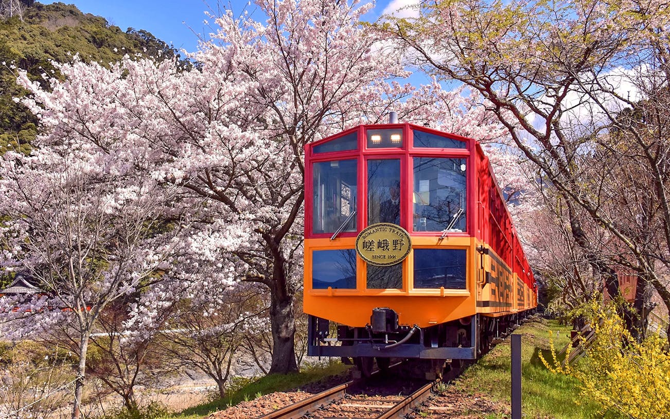 Scenic train passing cherry blossoms on Kyoto Sagano Day Tour.