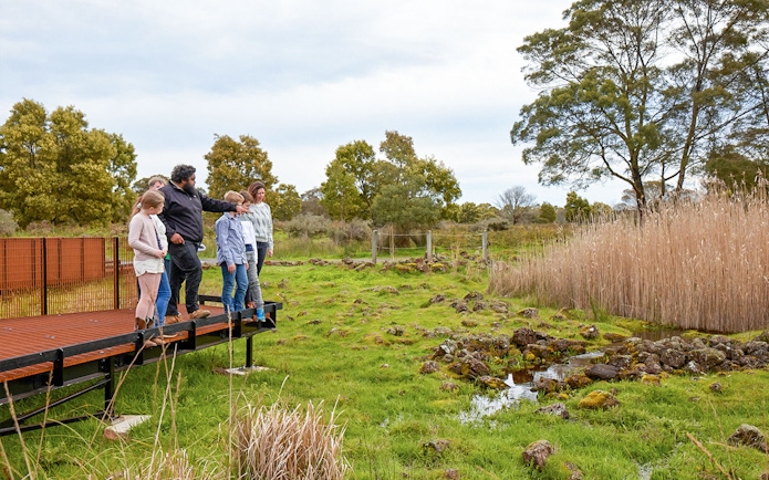 Group on boardwalk during Kooyang Yana full day tour, observing wetlands and landscape.