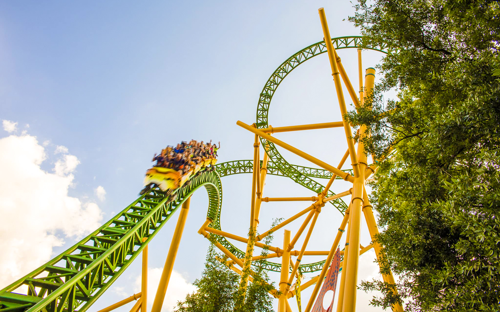 Roller coaster at Busch Gardens, Tampa Bay with riders on a green and yellow track.