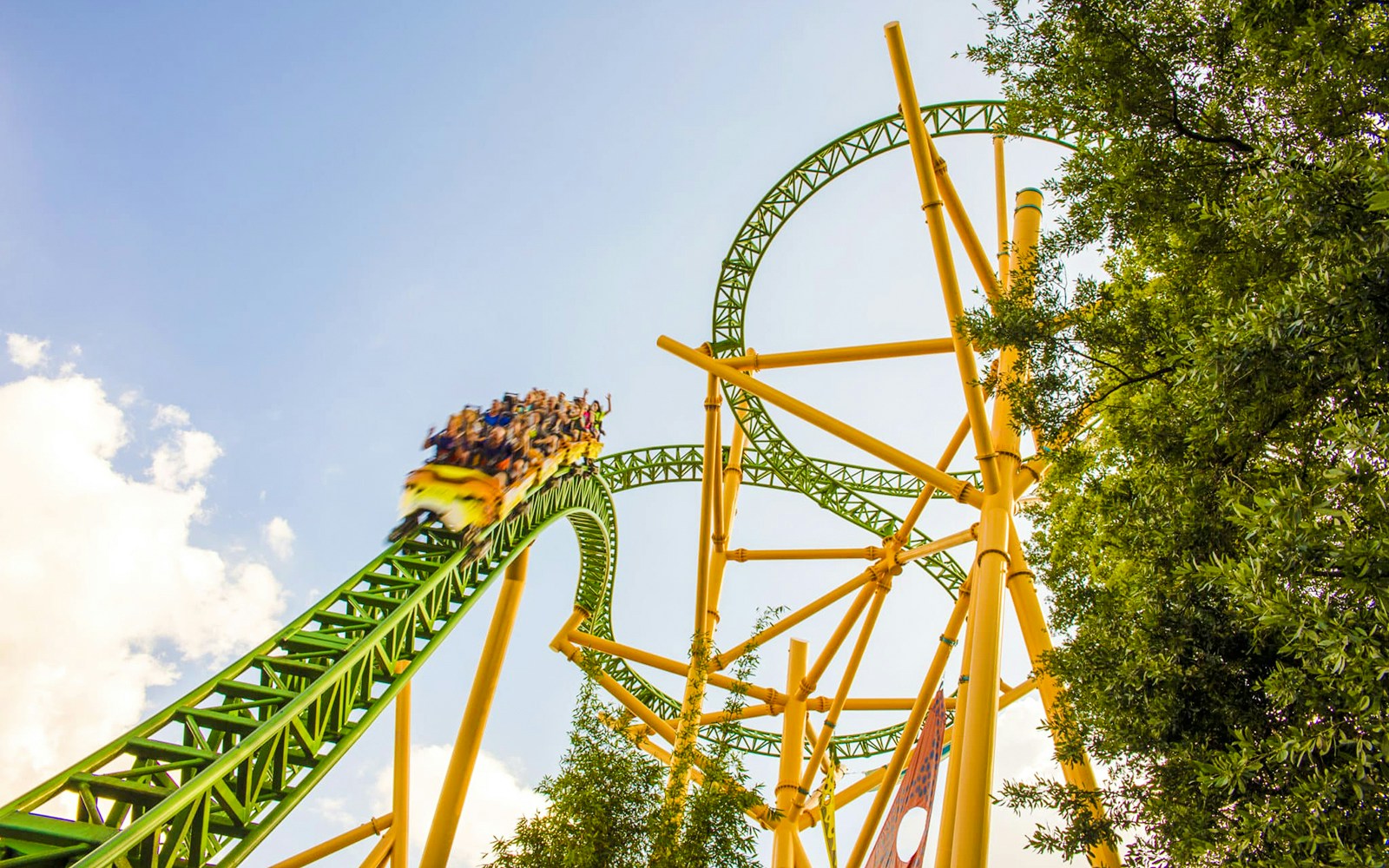 Roller coaster at Busch Gardens, Tampa Bay with riders on a green and yellow track.