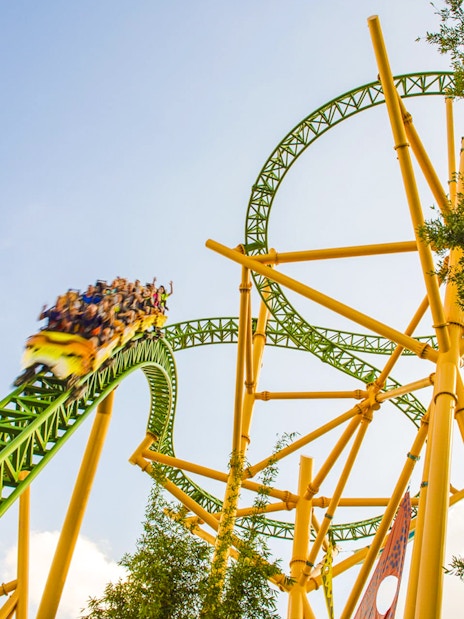 Roller coaster at Busch Gardens, Tampa Bay with riders on a green and yellow track.
