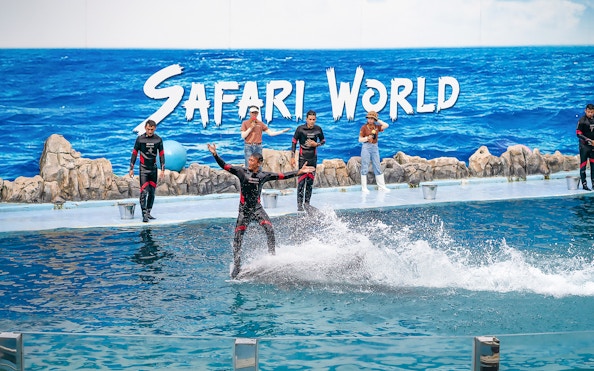 Trainer performing with dolphins at Safari World Marine Park show.