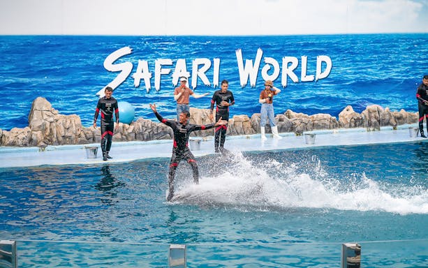 Trainer performing with dolphins at Safari World Marine Park show.