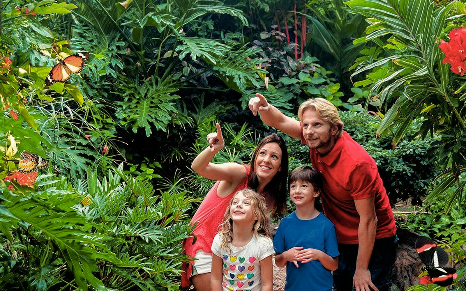 Family observing butterflies at Palmitos Park garden.