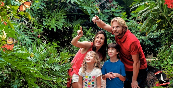 Family observing butterflies at Palmitos Park garden.