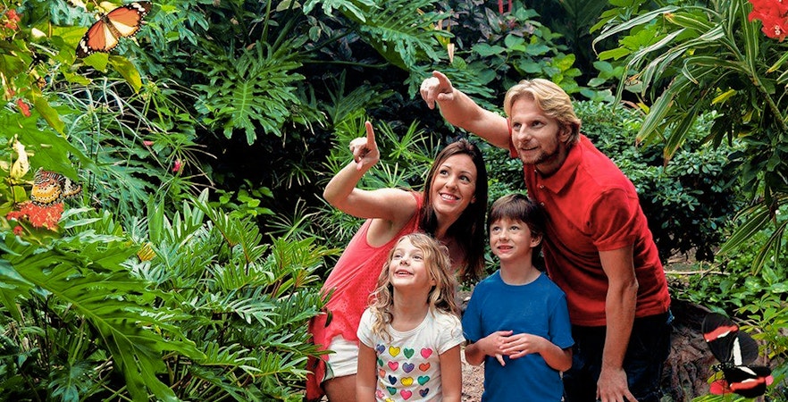 Family observing butterflies at Palmitos Park garden.