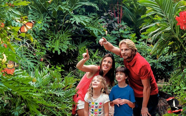 Family observing butterflies at Palmitos Park garden.