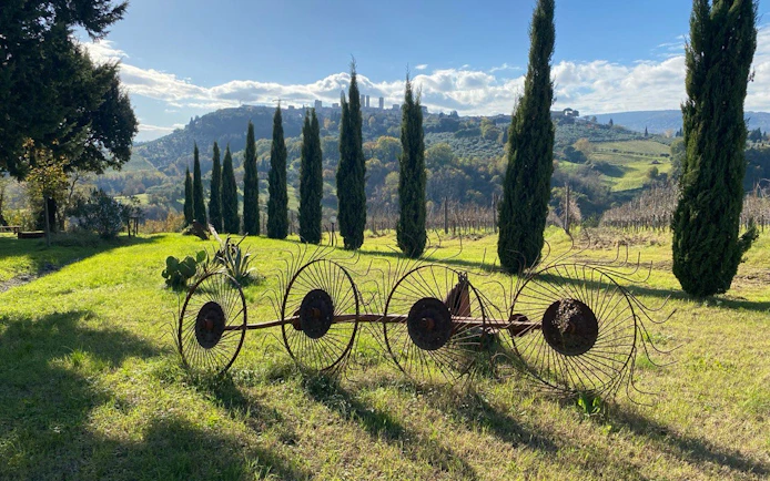 Vineyard landscape in Chianti with cypress trees and distant hills, ideal for Vespa tour and wine tasting.