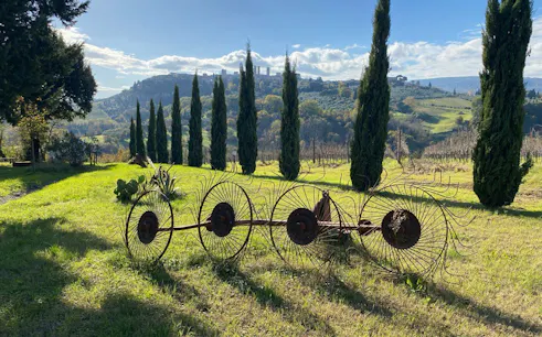 Vineyard landscape in Chianti with cypress trees and distant hills, ideal for Vespa tour and wine tasting.