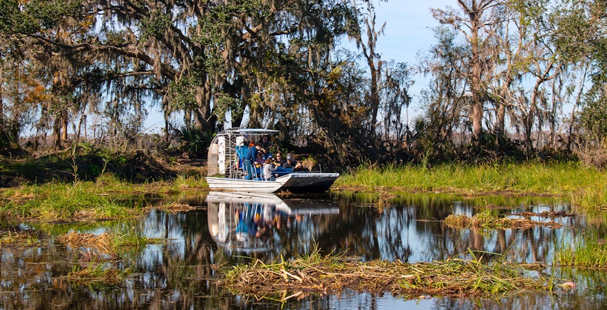 Visite des marais de la Nouvelle-Orléans