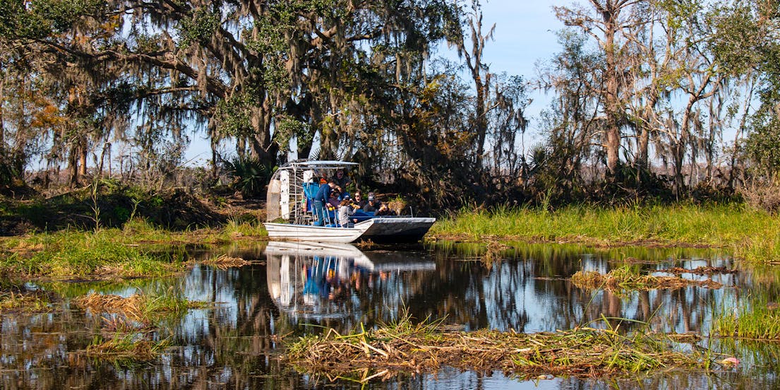 Wycieczki po bagnach Nowego Orleanu