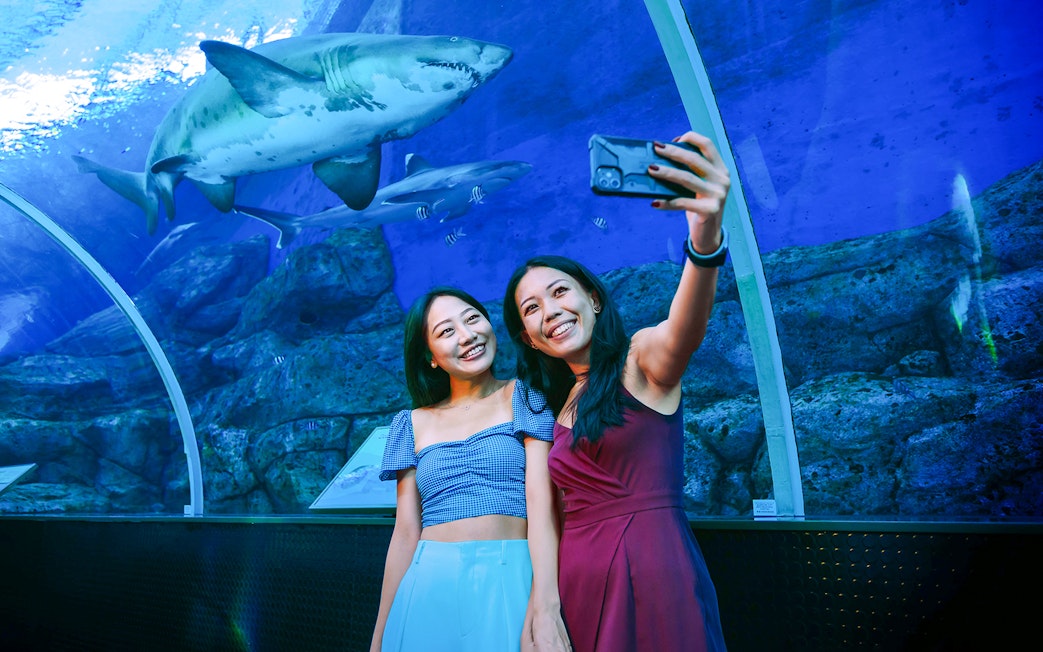 Women taking a selfie in front of a shark at S.E.A. Aquarium Singapore tunnel.