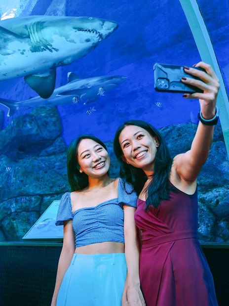 Women taking a selfie in front of a shark at S.E.A. Aquarium Singapore tunnel.