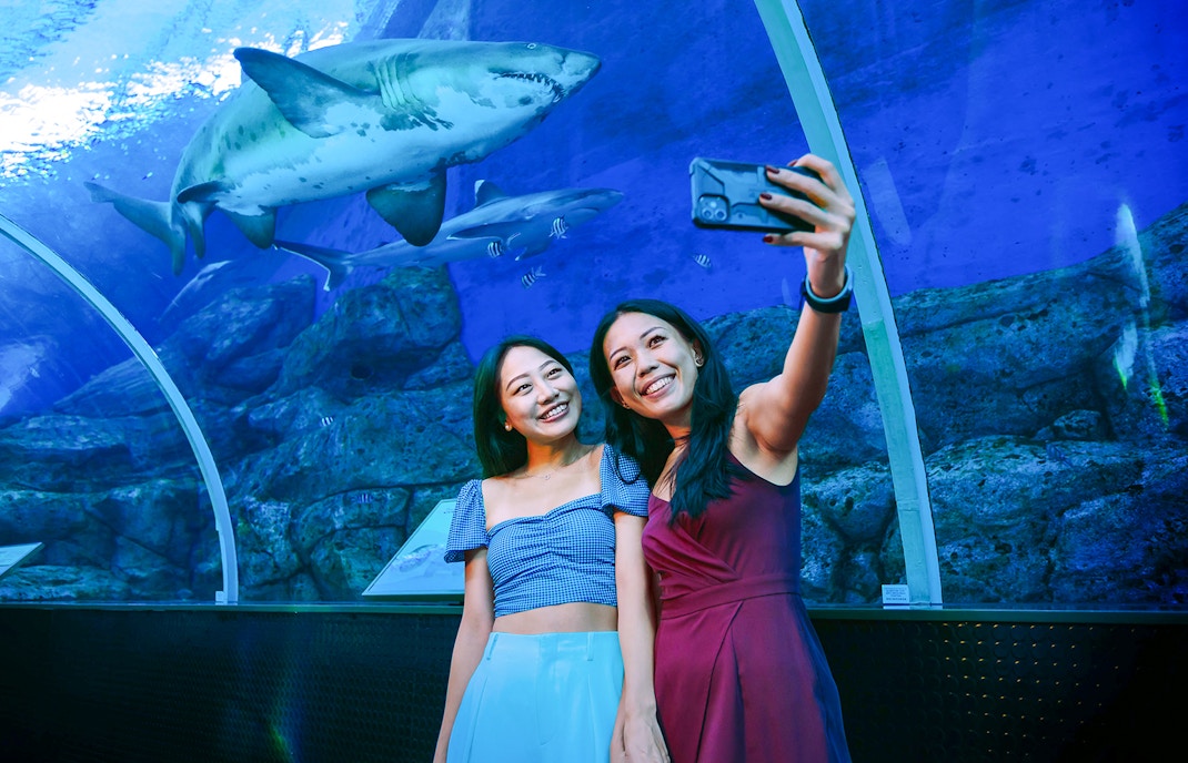 S.E.A. Aquarium Opening Hours
