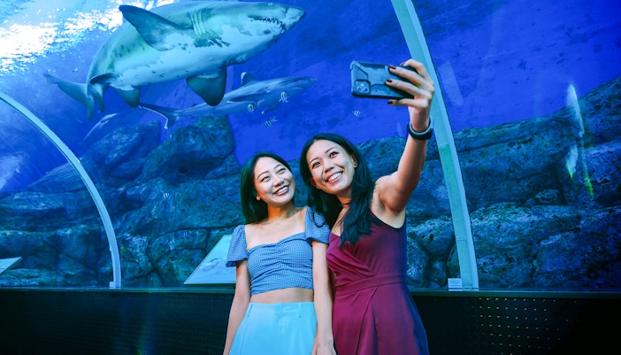 Women photographing a shark in the tunnel at S.E.A. Aquarium, Singapore.