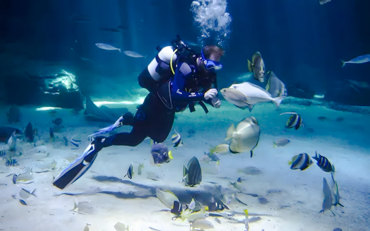 Nausicaá - Visite guidée sur le thème des requins au Centre national de la mer — 6
