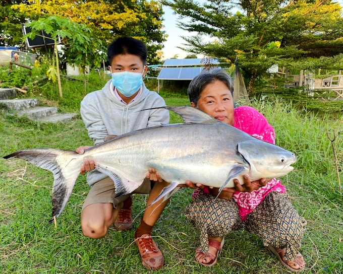 Chiang Mai Big-Game Fishing Experience with Transfers