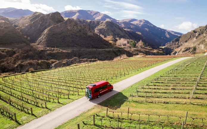 Red tour van driving through vineyard in Queenstown with mountain backdrop.