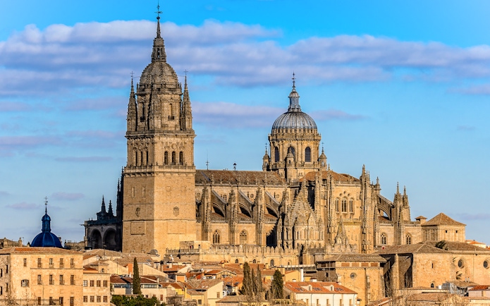 Salamanca Cathedral with its intricate Gothic architecture under a clear blue sky.