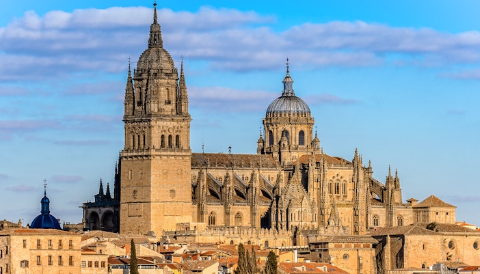 Salamanca Cathedral with its intricate Gothic architecture under a clear blue sky.