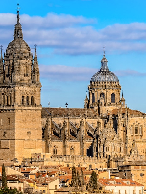 Salamanca Cathedral with its intricate Gothic architecture under a clear blue sky.