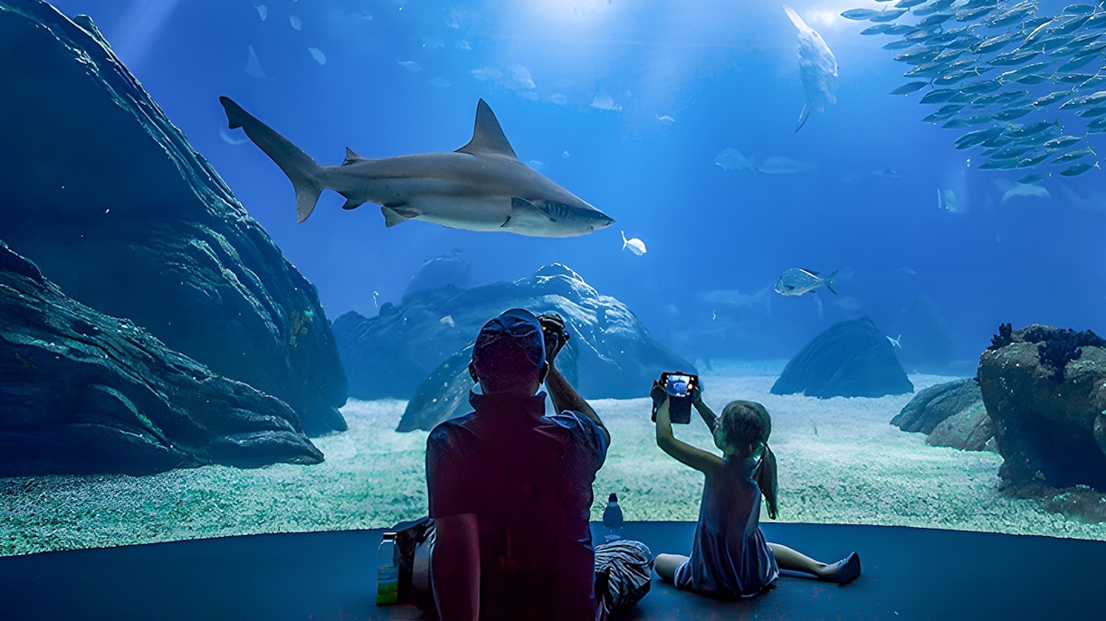 Father and child watching shark at Lisbon Oceanarium.