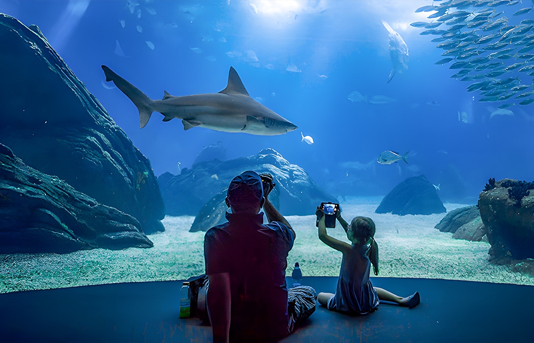 Father and child observing marine life at Lisbon Oceanarium.