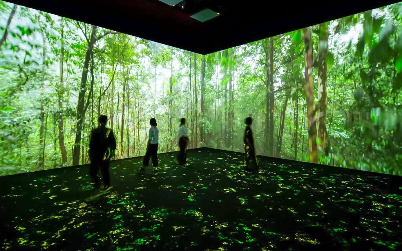 Visitors exploring immersive rainforest projection at Vivid: Immerse Your Senses exhibit, California Academy of Sciences.