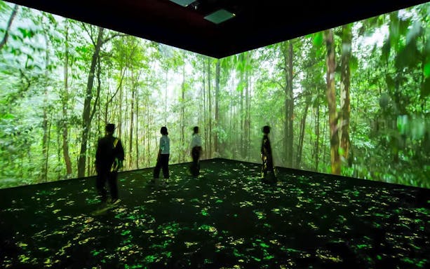Visitors exploring immersive rainforest projection at Vivid: Immerse Your Senses exhibit, California Academy of Sciences.